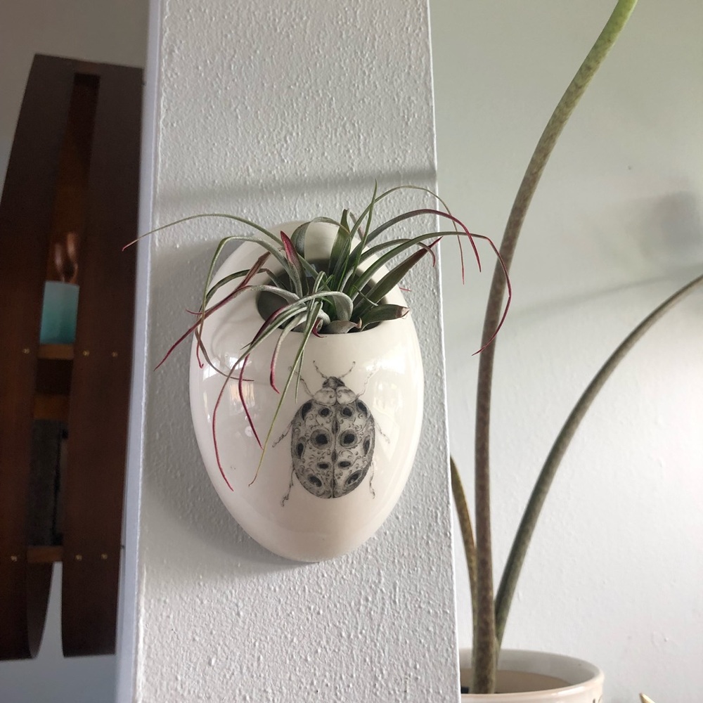 Ladybug Wall Pocket